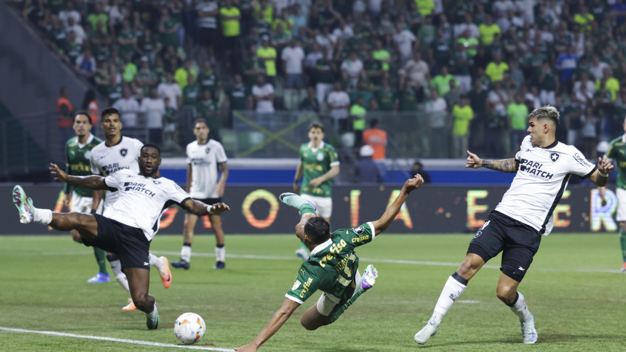 Briga, rivalidade e revanche: Palmeiras e Botafogo se reencontram em 'decisão' pelo Brasileirão