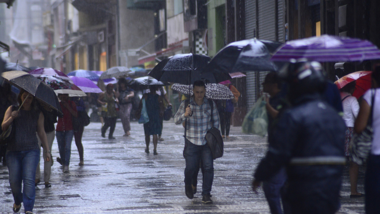 Chuva e ventos fortes: Como se preparar para temporais