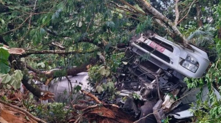 Rio: caminhão com carga tóxica tomba e atinge área de parque nacional